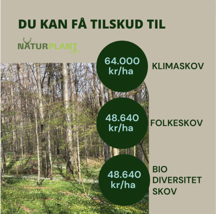 lodsejer, hedensted, kommune, klimasekretariat, skov, plant skov, plant træer, skovrejsning, tilskud til skov, biodiversitet, klima