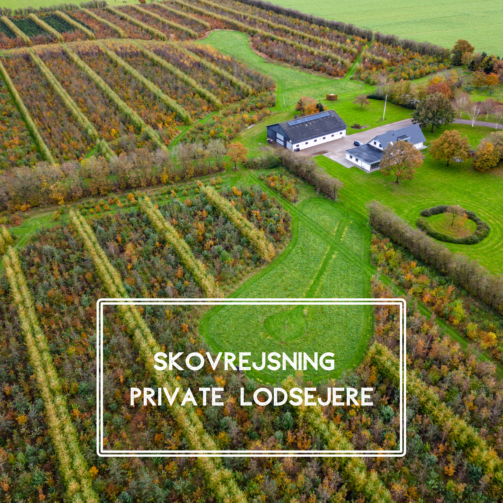 Naturplant skaber skovrejsning for private jordejere.